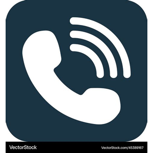 Caller Times
